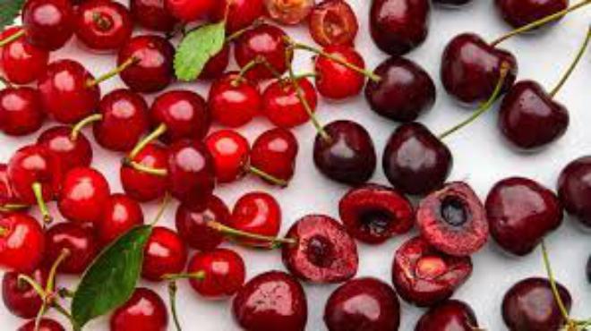 Wild cherry,Black Cherry, Black Choke,Prunus virginiana, Rum Cherry Bark, Virginian Prune, Wild Black Cherry