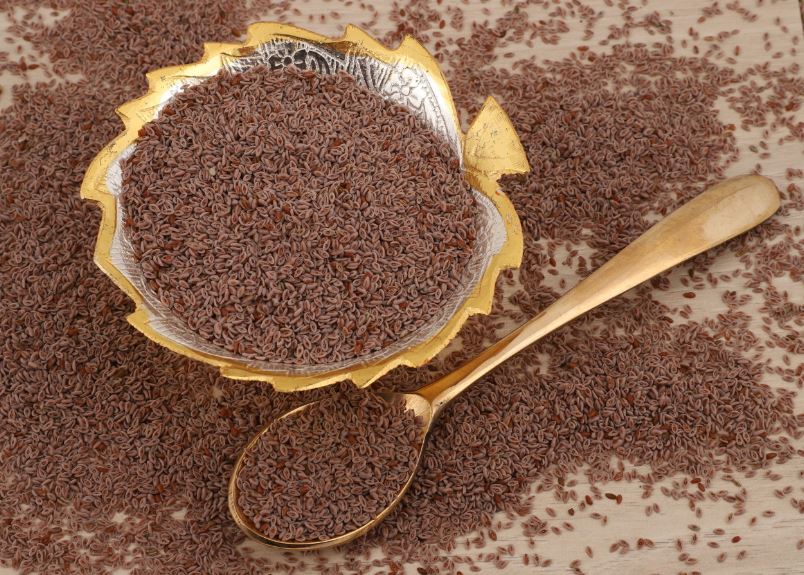 Isabgol seeds,psyllium husk,spogel Seeds